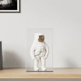 VidaXL Vitrine transparent 22x18x35 cm Acryl