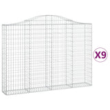 VidaXL Schans baskets 9 ST vaulted 200x30x140 160 cm iron