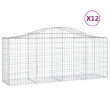 VidaXL Schans baskets 12 st vaulted 200x50x80 100 cm iron