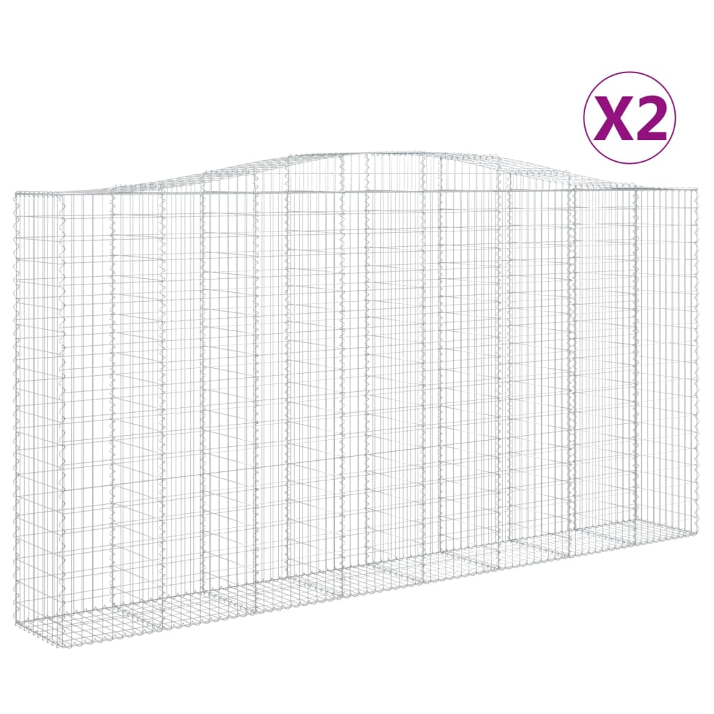 VidaXL Schans baskets 2 ST vaulted 400x50x200 220 cm iron