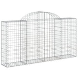 VidaXL Schans baskets 2 ST vaulted 200x30x100 120 cm iron