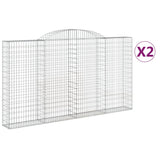 VidaXL Schans baskets 2 ST vaulted 300x30x160 180 cm iron