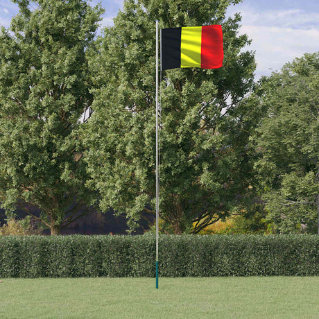 VidaXL Flagge mit Fahnenmast 6,23 m Aluminium