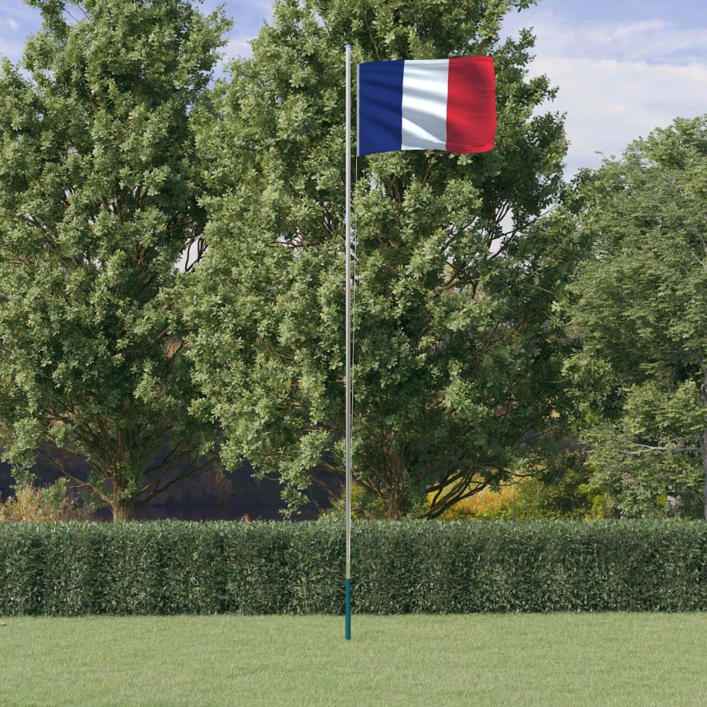 Flag vidaxl avec drapeau France 6,23 m en aluminium