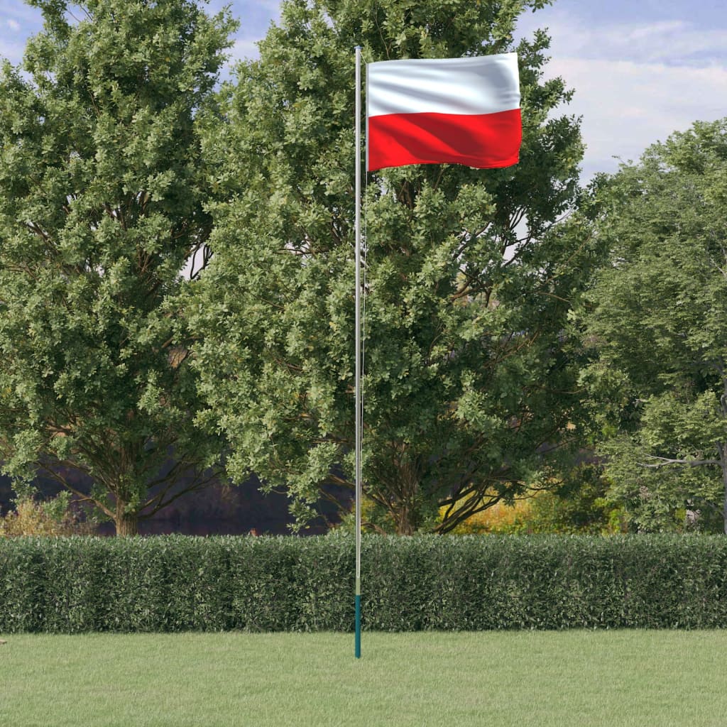 Zastava Vidaxl z Flagpole Poljsko 6,23 m aluminija