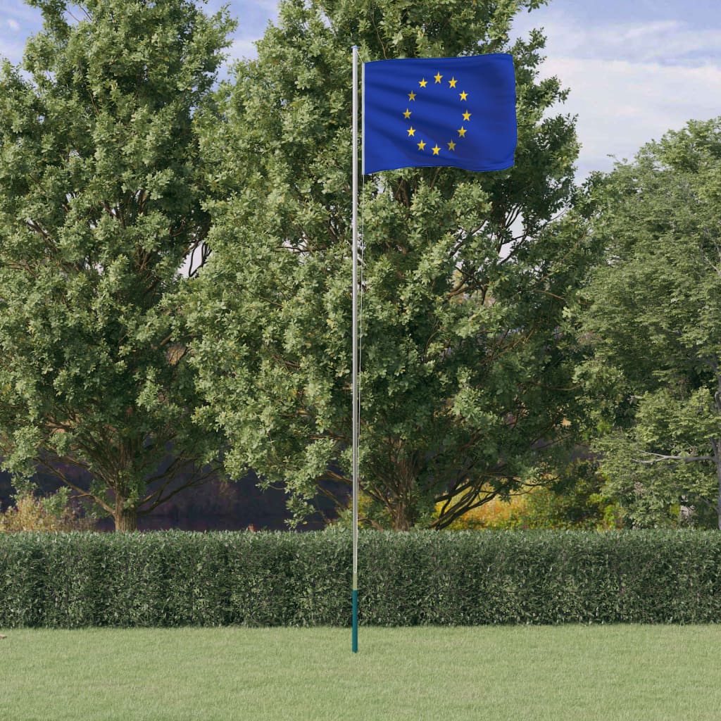 Bandera Vidaxl con Flagpole Europe 6.23 m de aluminio