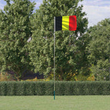 VidaXL Flagge mit Fahnenmast 5,55 m Aluminium
