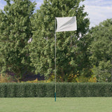 Vidaxl flagpole telescopic 5.55 m aluminum silver colored