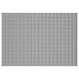 Vidaxx Gewichtsdecke 138x200 cm 6 kg Stoff grau