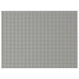 Vidaxx Gewichtsdecke 150x200 cm 7 kg Stoff grau