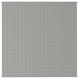Vidaxx Gewichtsdecke 200x200 cm 13 kg Stoff grau