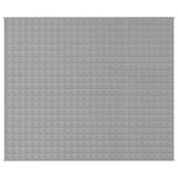 VIDAXL FAIBLAGE COUVERTURE 220X260 cm 15 kg de gris de tissu