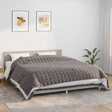 Vidaxx Gewichtsdecke 235x290 cm 11 kg Stoff grau