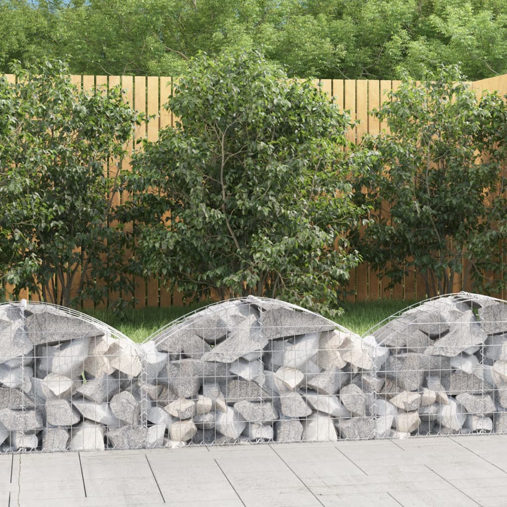 Vidaxx Gabione gewölbt 100x30x40 60 cm verzinktes Eisen