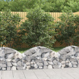 Vidaxx Gabione gewölbt 100x30x40 60 cm verzinktes Eisen