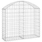 Vidaxx Gabione gewölbt 100x30x80 100 cm verzinktes Eisen