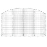 Vidaxx Gabione gewölbt 200x50x100 120 cm verzinktes Eisen