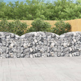 Vidaxx Gabione gewölbt 200x50x100 120 cm verzinktes Eisen