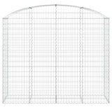 Vidaxl shananskorf vaulted 200x50x160 180 cm Galavaniséiert Eisen