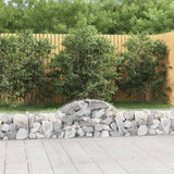 Vidaxx Gabione gewölbt 200x30x40 60 cm verzinktes Eisen