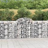 Vidaxx Gabione gewölbt 200x50x100 120 cm verzinktes Eisen