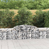 Vidaxx Gabione gewölbt 300x50x60 80 cm aus verzinktem Eisen