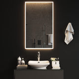 VidaXL Badezimmerspiegel LED 60x100 cm