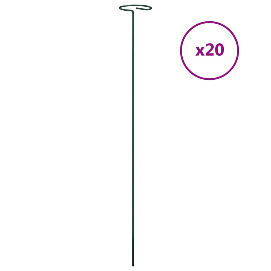VidaXL Pflanzenstäbe 20 Stk. 61 cm Stahl dunkelgrün