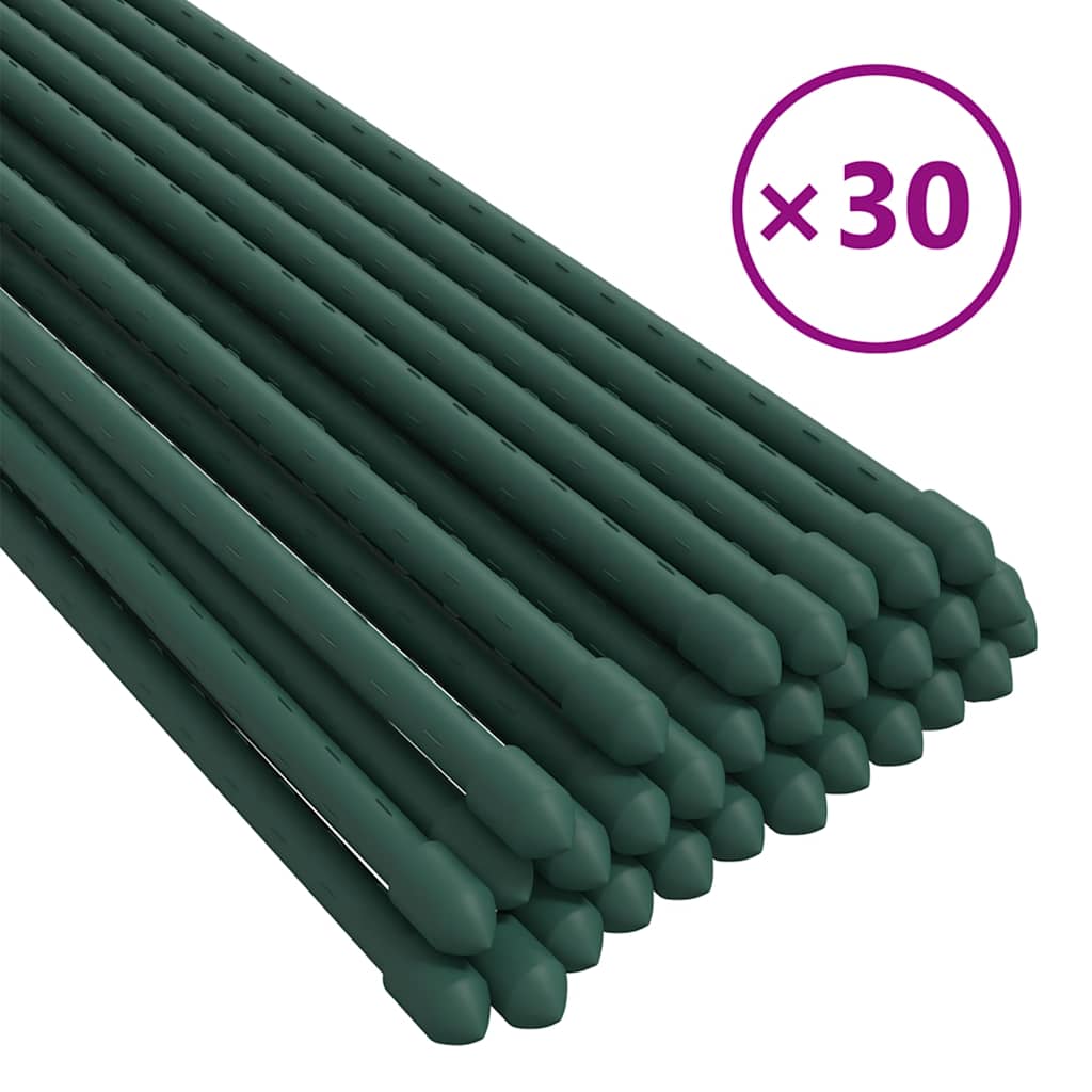 Vidaxxl Pflanzenstecker 30 Stk. 150 cm Stahlgrün