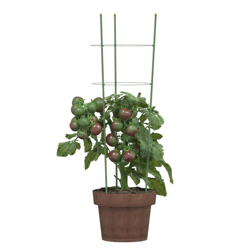 Vidaxl Plantrests 5 ST avec 3 anneaux 60 cm en acier vert