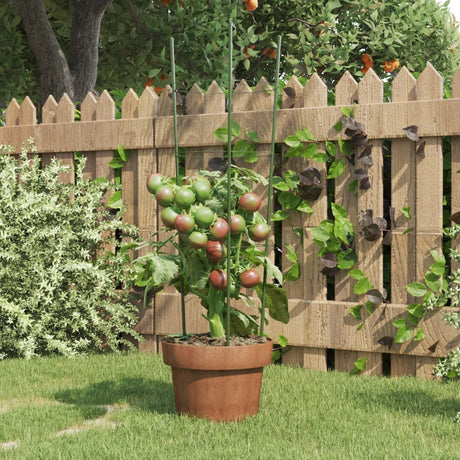 VidaXL Pflanzenstützen 5 Stück mit 3 Ringen 60 cm Stahl grün