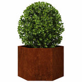 Vidaxx Pflanzgefäß rostig 60x60x45 cm Cortenstahl