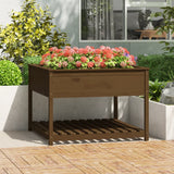 Vidaxl Planter med hyllan 111.5x111.5x81 cm tall honungbrun