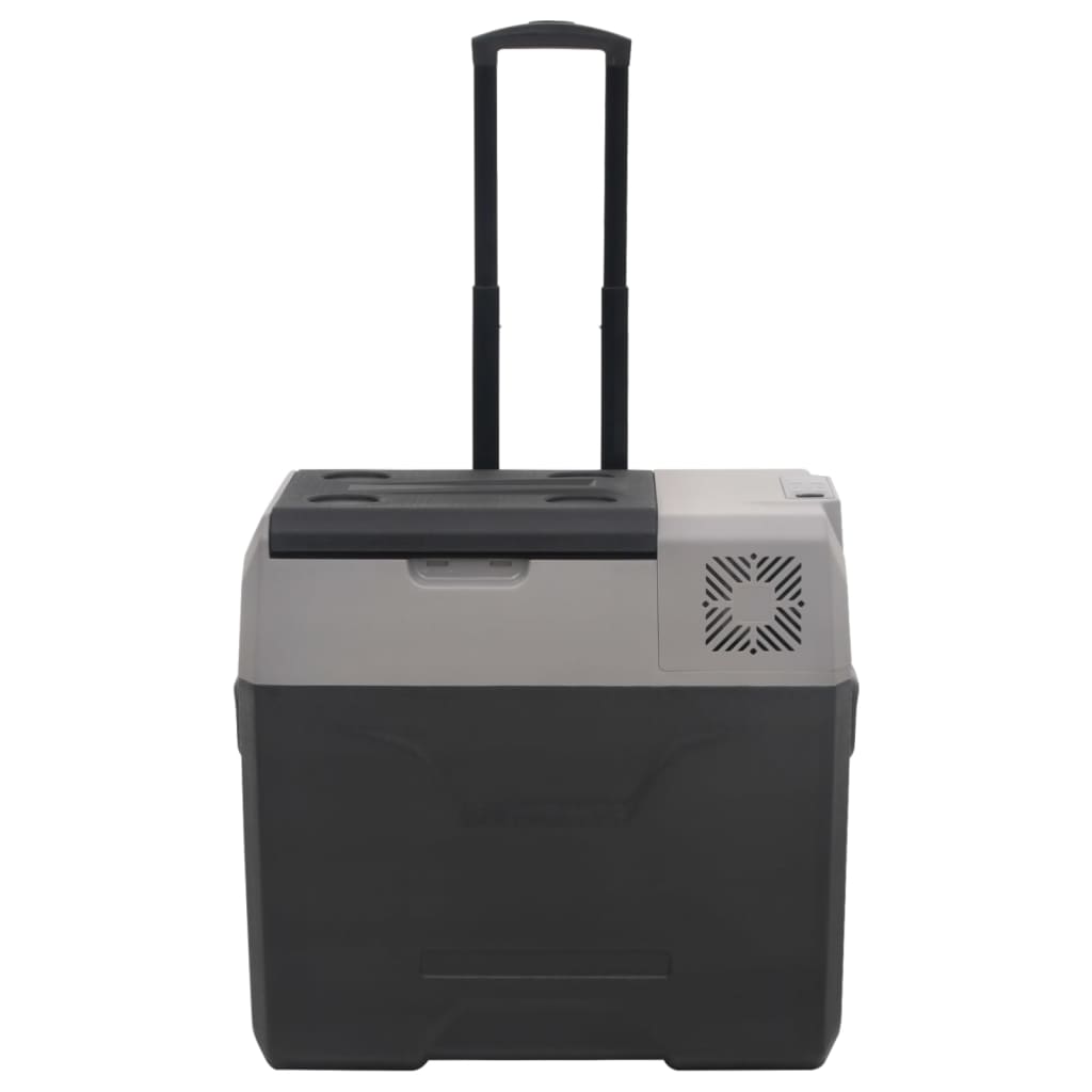Vidaxx Kühlbox mit Rollen und Griff 30 l Polypropylen schwarz und grau