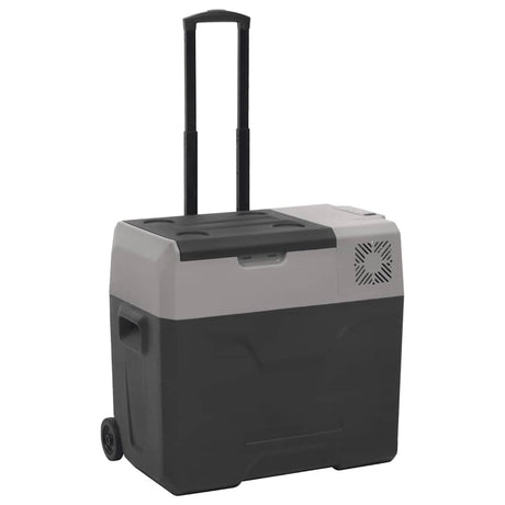 Vidaxx Kühlbox mit Rollen und Griff 40 l Polypropylen schwarz und grau