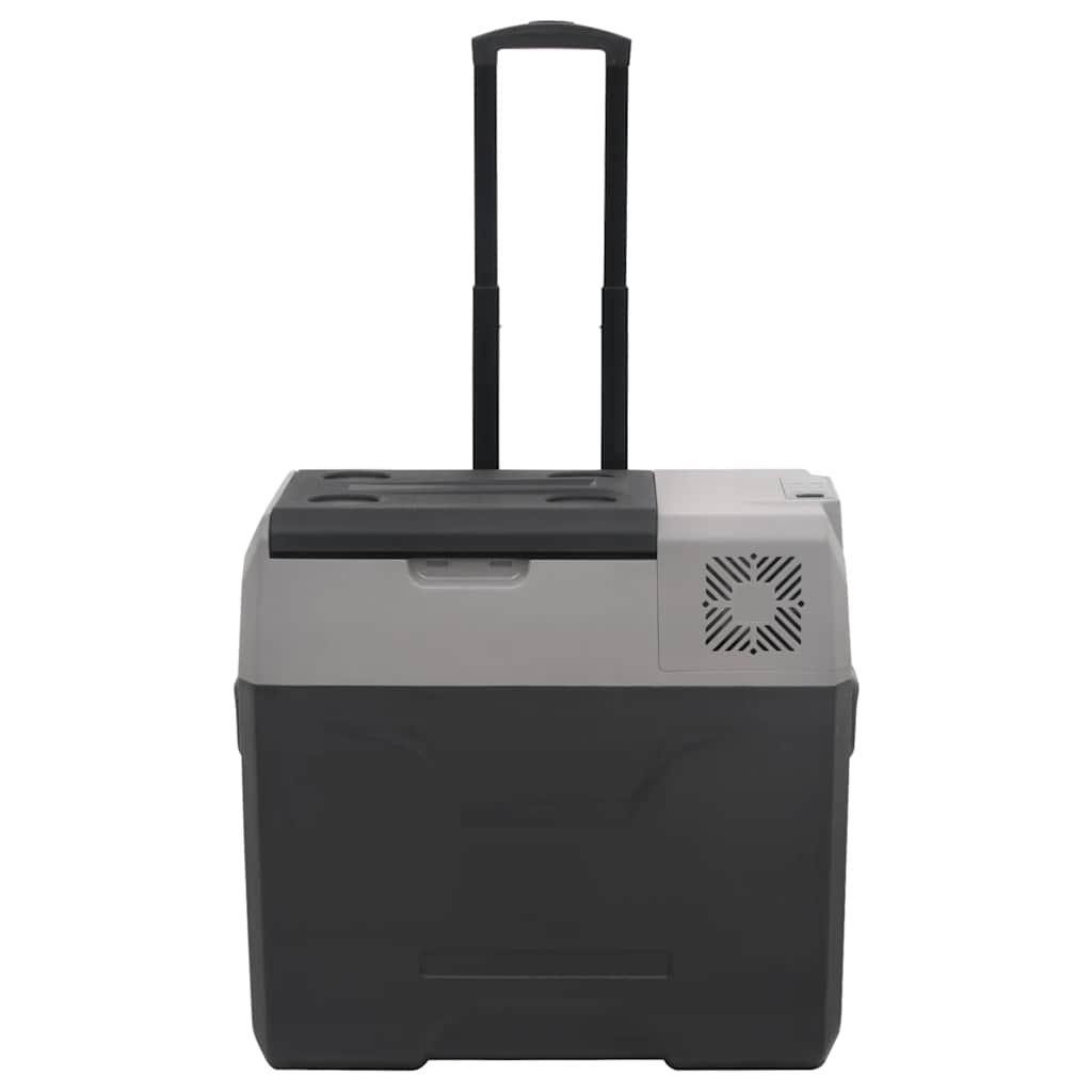 Vidaxx Kühlbox mit Rollen und Griff 40 l Polypropylen schwarz und grau