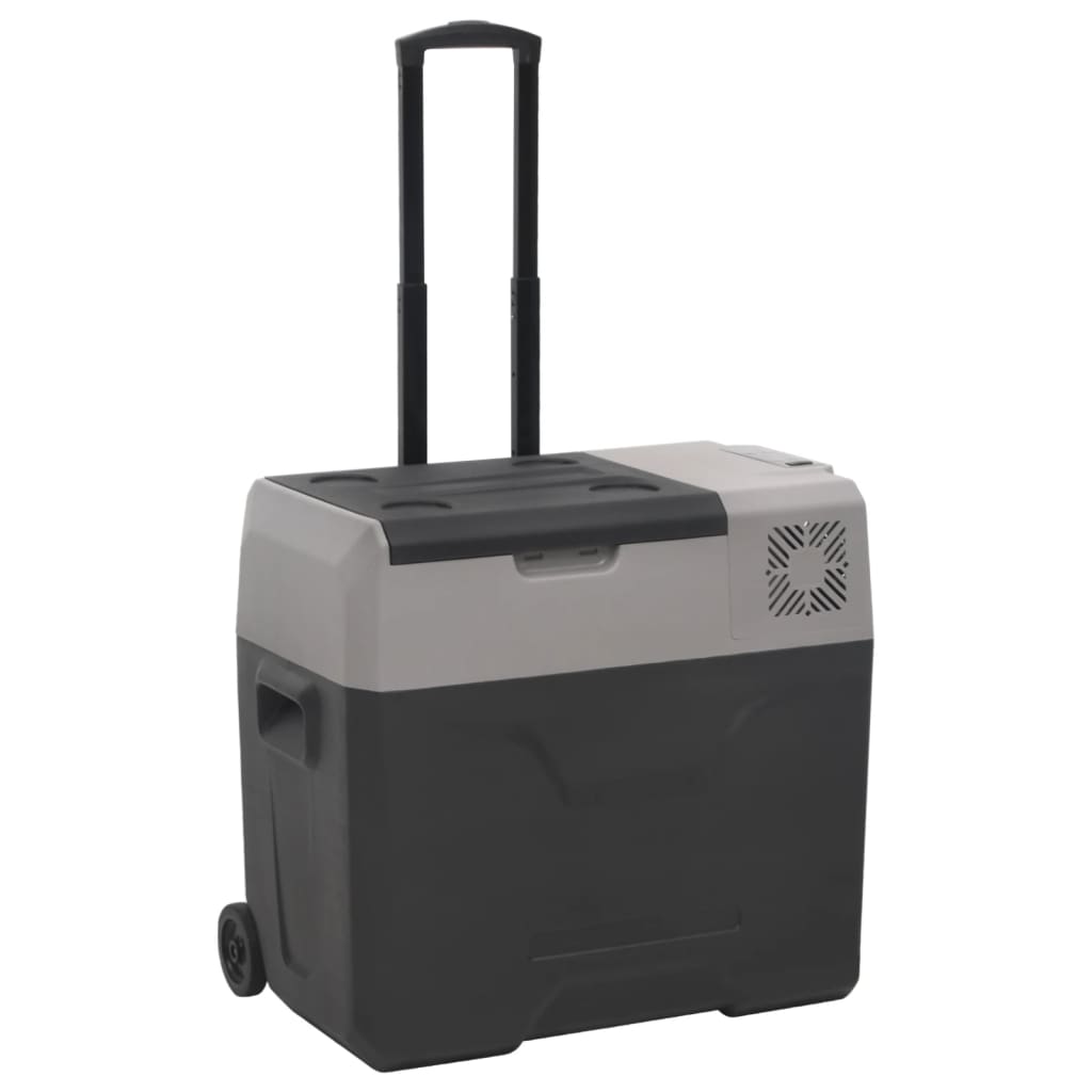 Vidaxx Kühlbox mit Rollen und Griff 50 l Polypropylen schwarz und grau