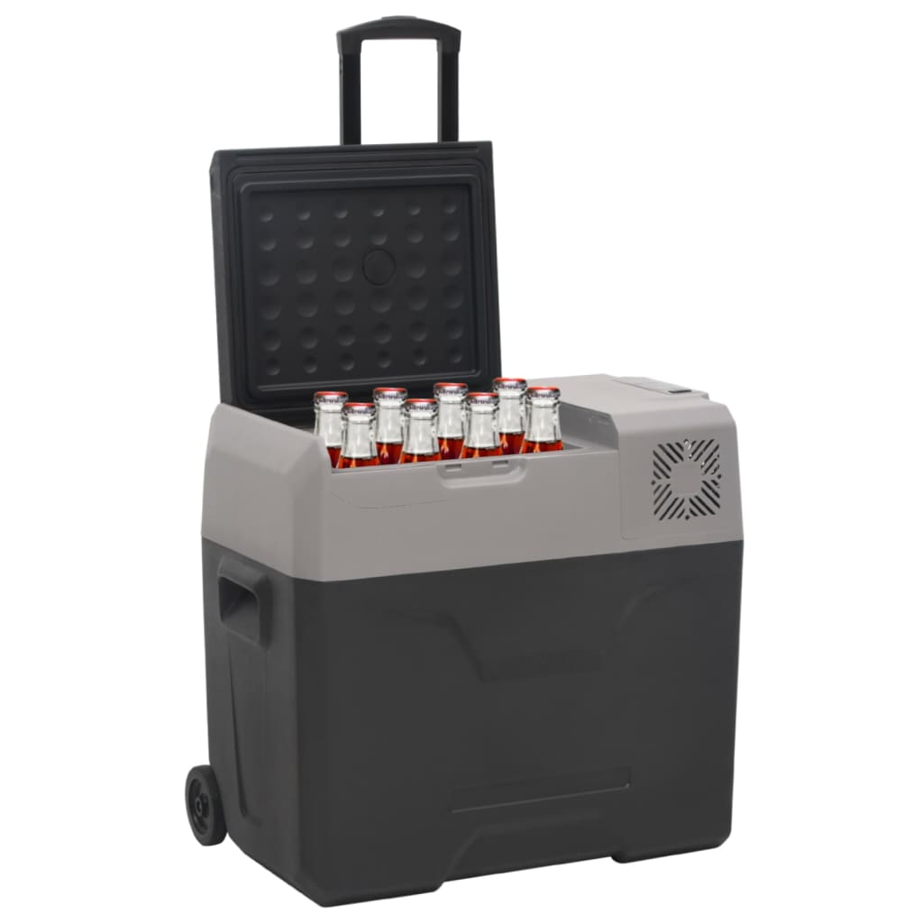 Vidaxx Kühlbox mit Rollen und Griff 50 l Polypropylen schwarz und grau