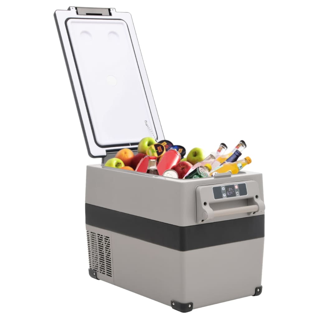 Vidaxx Kühlbox mit Griff 55 l PP PE schwarz und grau