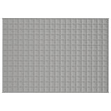 Vidaxx Gewichtsdecke 137x200 cm 6 kg Stoff grau