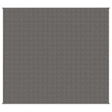 VIDAXL Coperta debole 200x220 cm 9 kg di tessuto grigio