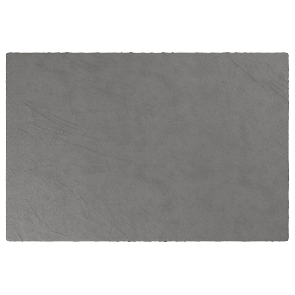 Couverture faible de Vidaxl avec couvercle 122x183 cm 5 kg de gris de tissu