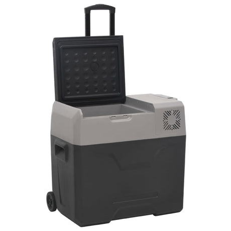 VidaXL Kühlbox mit Rollen und Adapter 30 L Polypropylen Schwarz und Grau