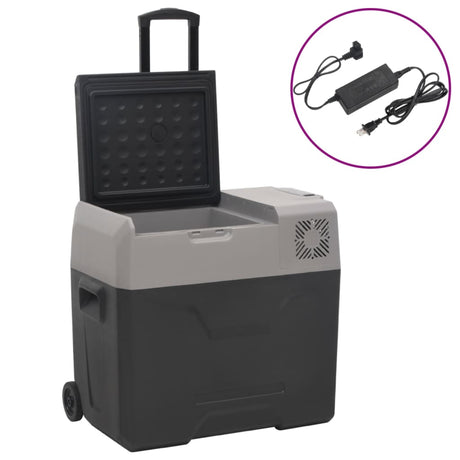 VidaXL Kühlbox mit Rollen und Adapter 50 L Polypropylen schwarz und grau