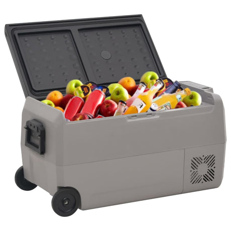 VidaXL Kühlbox mit Rollen und Adapter 36 L PP und PE Schwarz und Grau