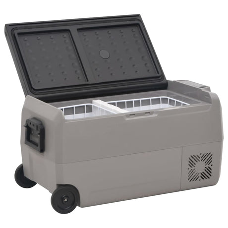 VidaXL Kühlbox mit Rollen und Adapter 36 L PP und PE Schwarz und Grau