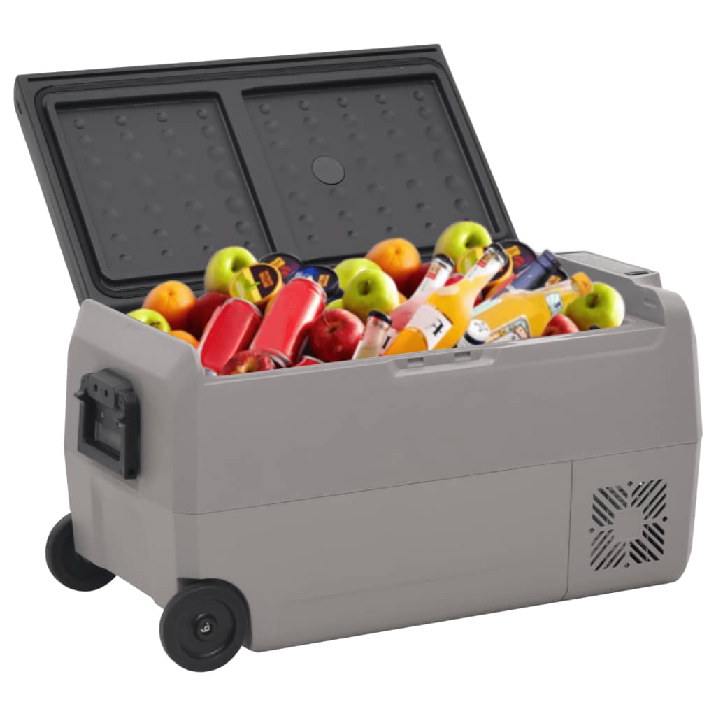 VidaXL Kühlbox mit Rollen und Adapter 50 L PP und PE Schwarz und Grau