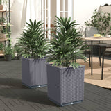 Plantadores Vidaxl 2 ST 30X30X37 CM Polypropene Dark Grey