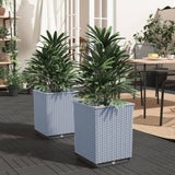 Vidaxl Planters 2 St 30x30x37 cm polypropen lysegrå