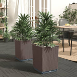 VidaXL Pflanzgefäße 2 Stück 30x30x37 cm Polypropylen braun